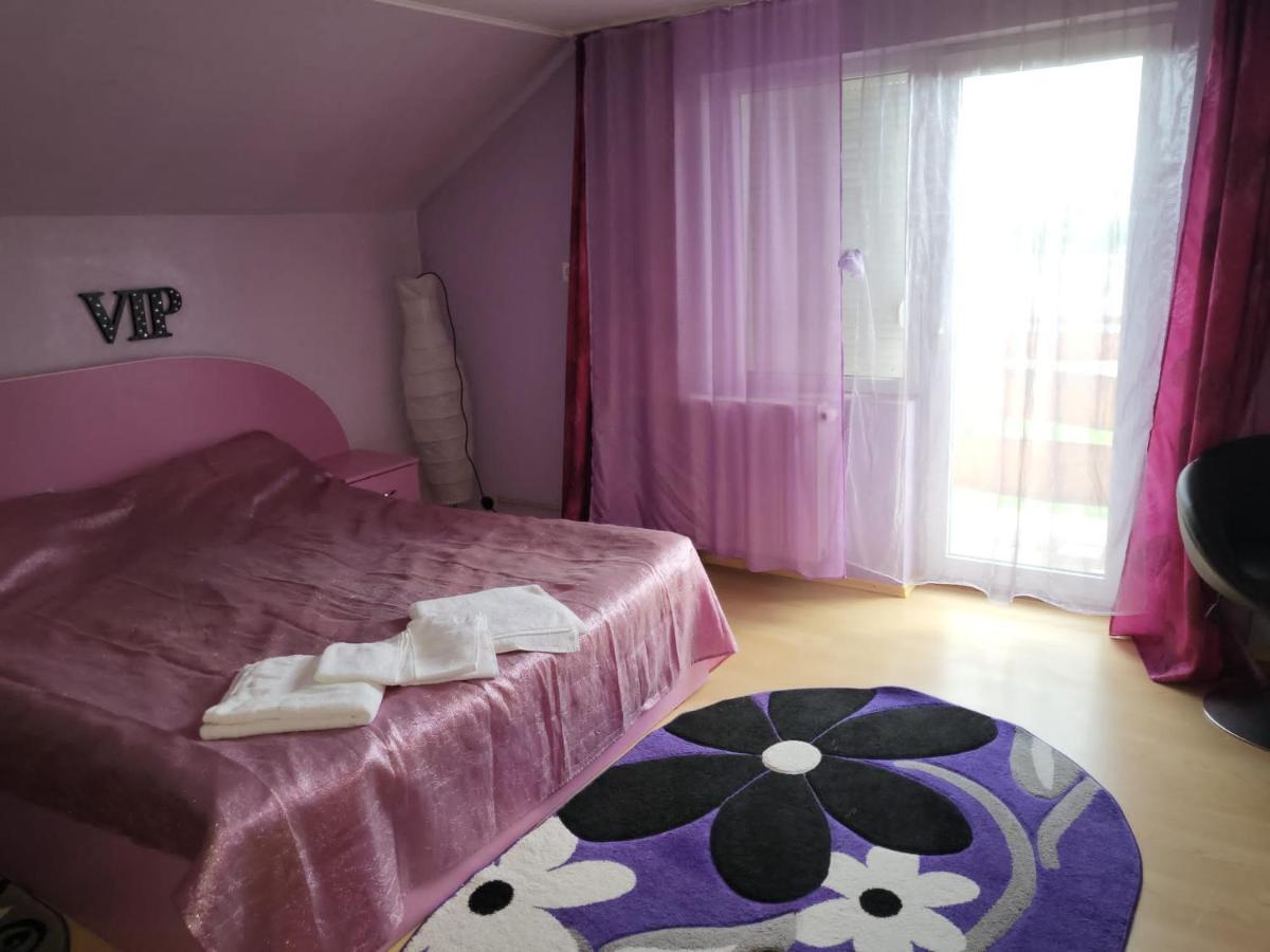 Vila Ana Cu Terasa Gratar Si Jacuzzi Villa ซาตูมาเร ภายนอก รูปภาพ