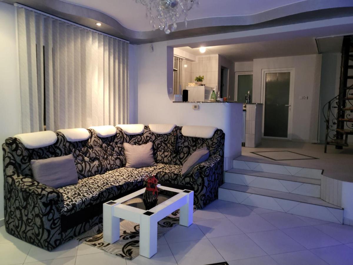 Vila Ana Cu Terasa Gratar Si Jacuzzi Villa ซาตูมาเร ภายนอก รูปภาพ