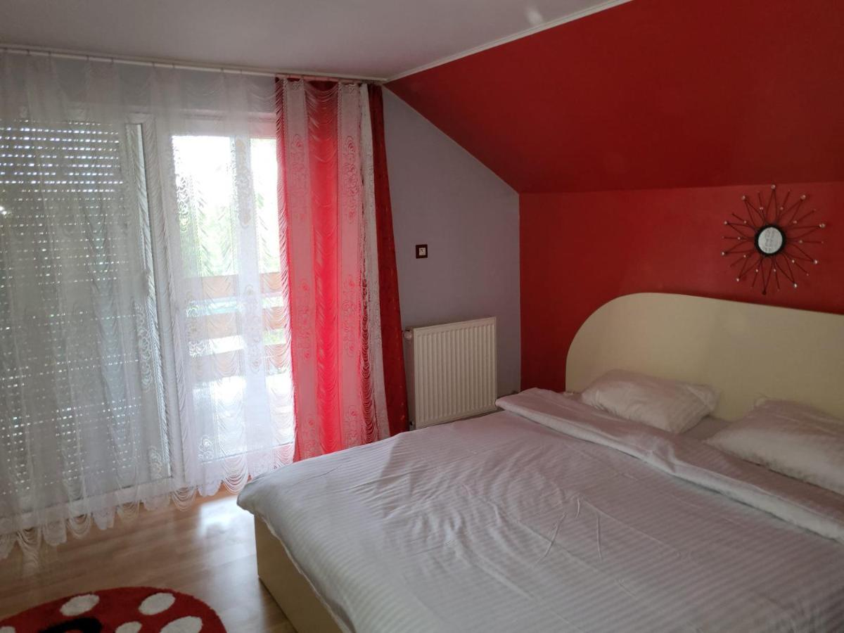 Vila Ana Cu Terasa Gratar Si Jacuzzi Villa ซาตูมาเร ภายนอก รูปภาพ