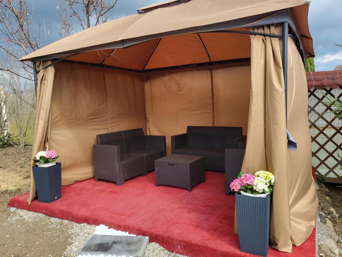 Vila Ana Cu Terasa Gratar Si Jacuzzi Villa ซาตูมาเร ภายนอก รูปภาพ